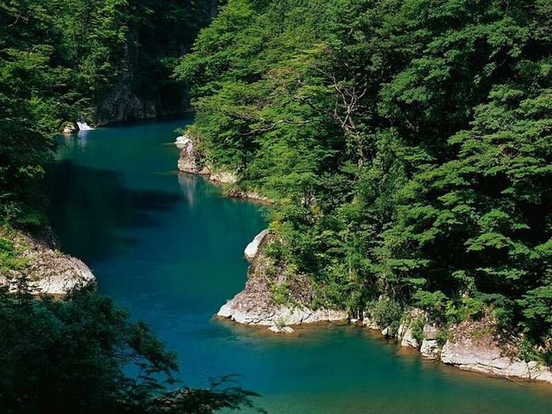 river winding through forest
