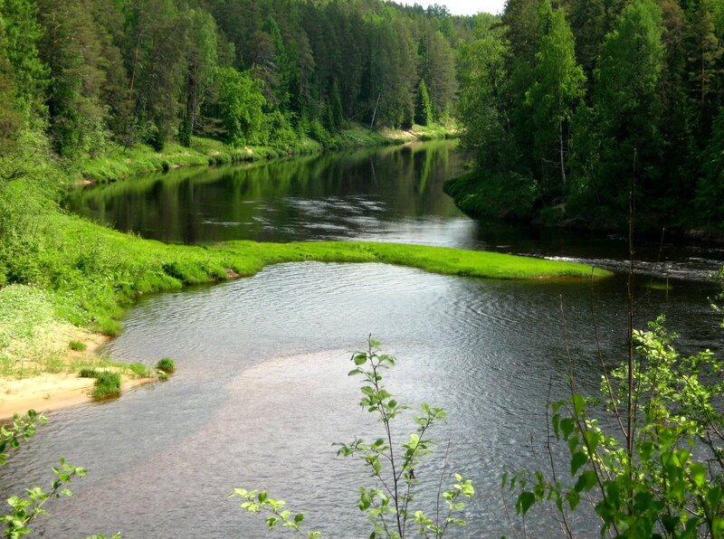 River winding through forest