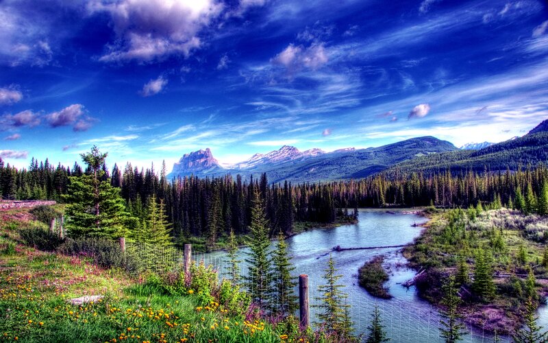 River Winding Through Forest — Blue, Dramatic, Afternoon