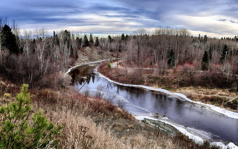 River Winding Through Forest — Blue, Dramatic, Winter