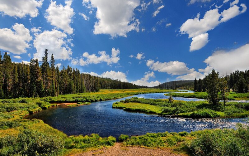 River Winding Through Forest — Blue, Serene, Afternoon, Photograph, Trees