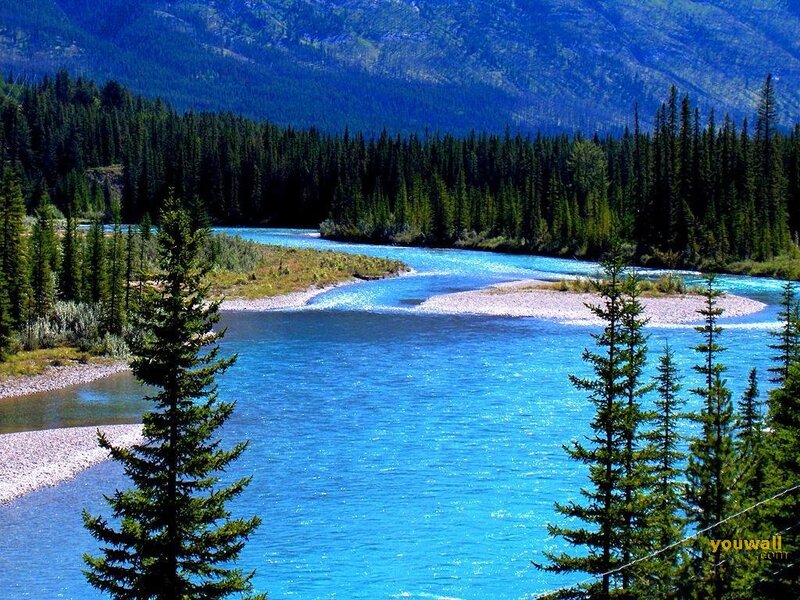 River Winding Through Forest — Blue, Serene, Afternoon