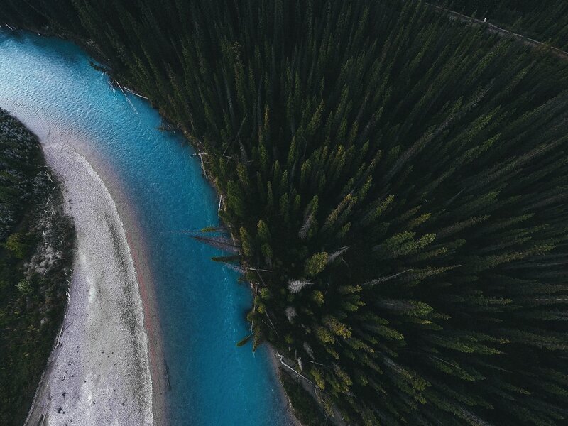 River Winding Through Forest — Blue, Serene, Photograph