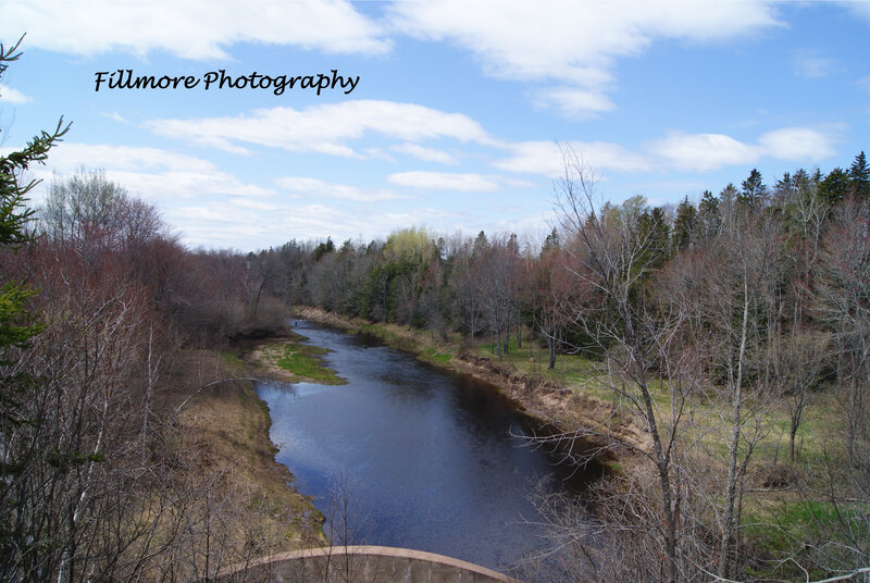 River Winding Through Forest — Blue, Serene, Spring