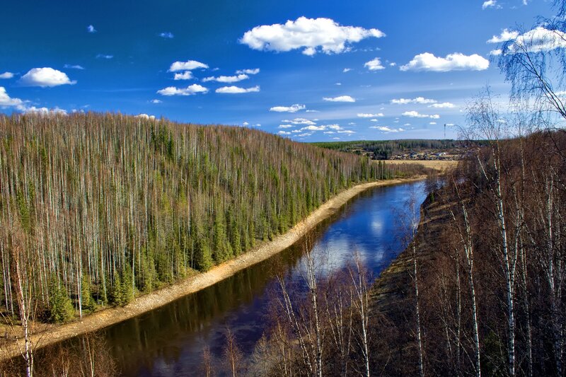 River Winding Through Forest — Blue, Serene