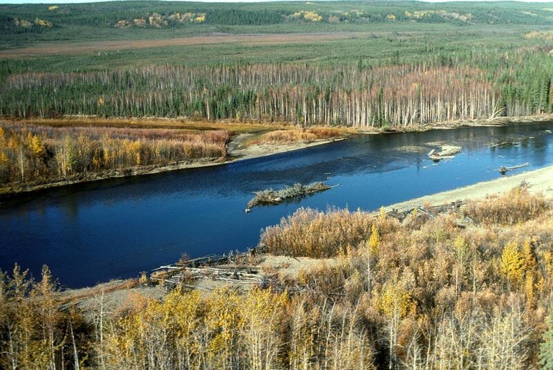 River Winding Through Forest — Blue