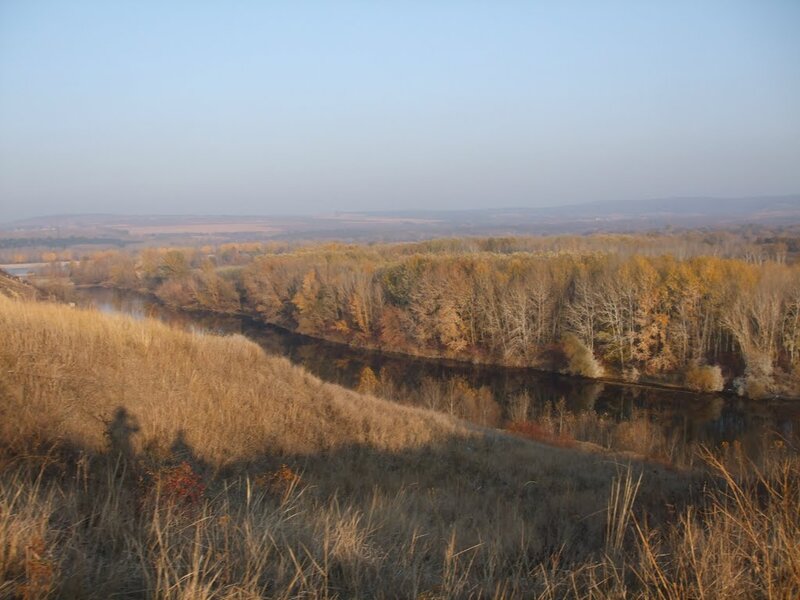 River Winding Through Forest — Brown, Serene, Autumn