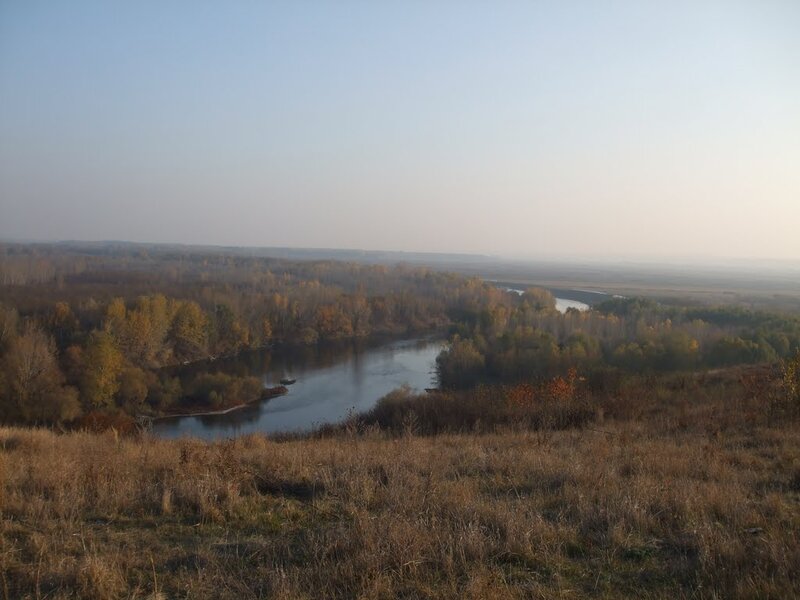 River Winding Through Forest — Brown