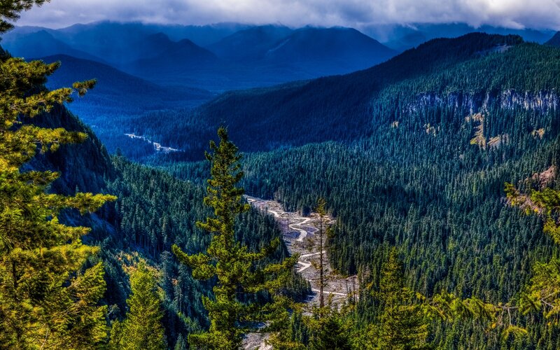 River Winding Through Forest — Green, Dramatic, Afternoon, Photograph, Mountains