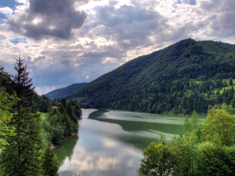 River Winding Through Forest — Green, Dramatic, Afternoon