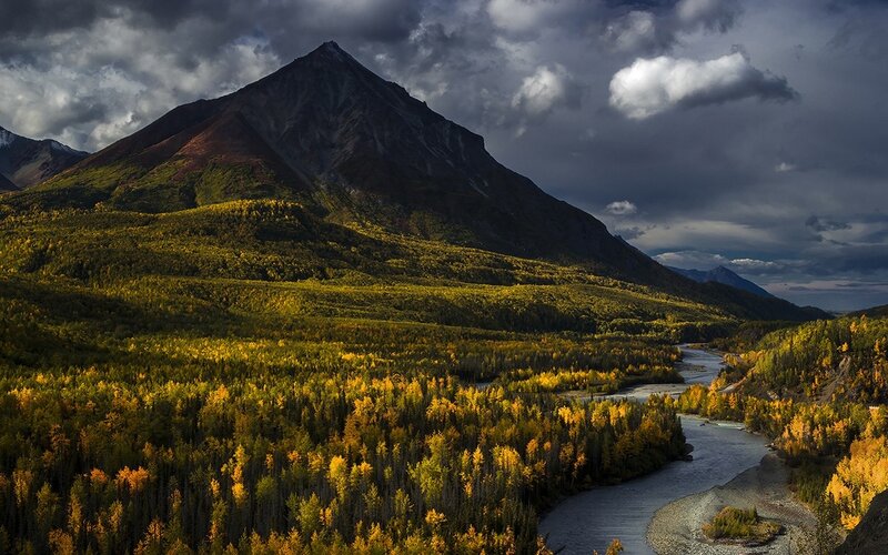 River Winding Through Forest — Green, Dramatic, Autumn