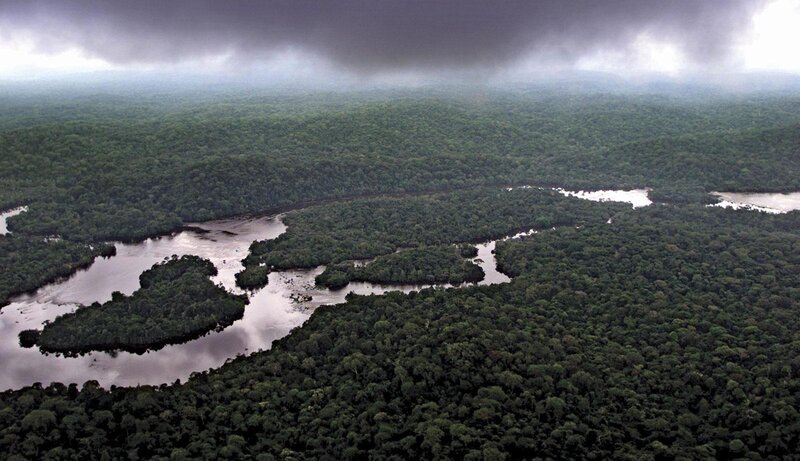 River Winding Through Forest — Green, Dramatic, Photograph, Clouds