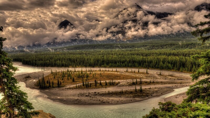 River Winding Through Forest — Green, Dramatic, Photograph