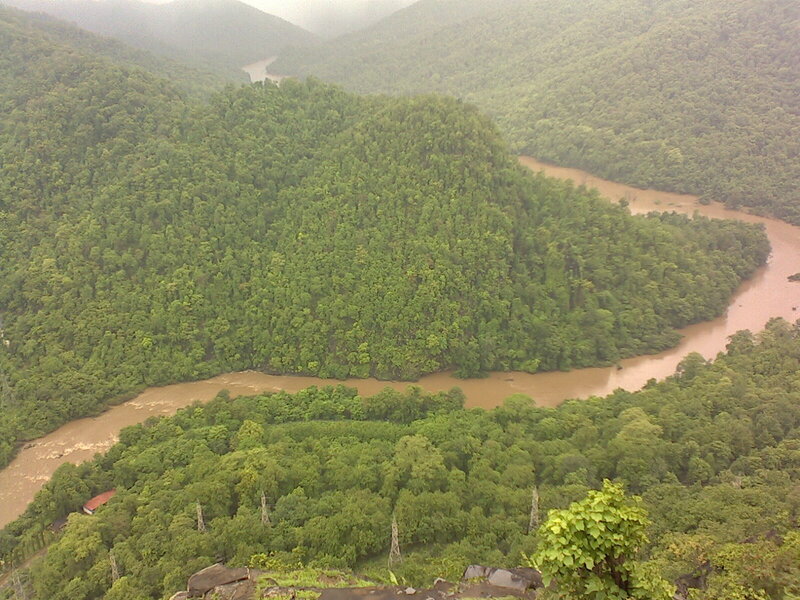 River Winding Through Forest — Green, Misty