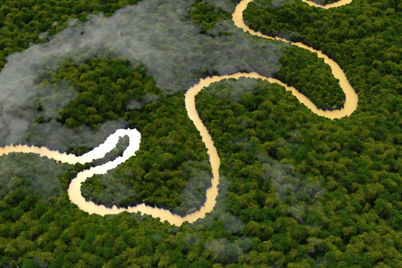 River Winding Through Forest — Green, Serene, 3d Render