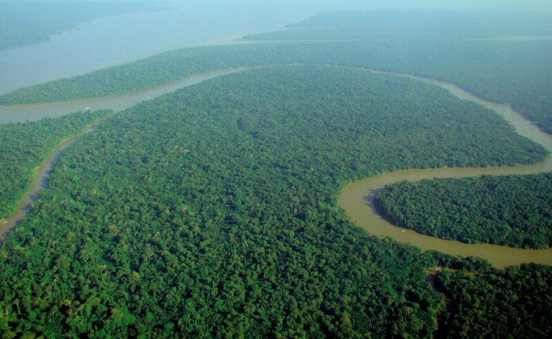 River Winding Through Forest — Green, Serene, Afternoon, Photograph, Aerial View