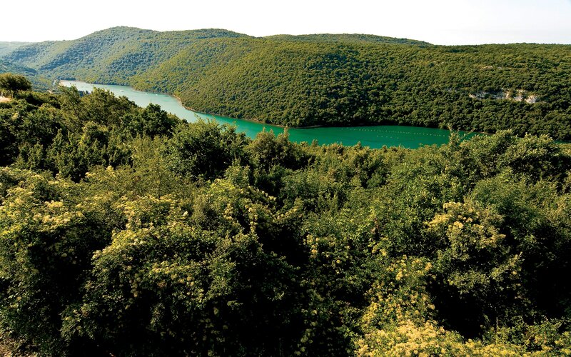 River Winding Through Forest — Green, Serene, Afternoon, Photograph, Hills, Blue