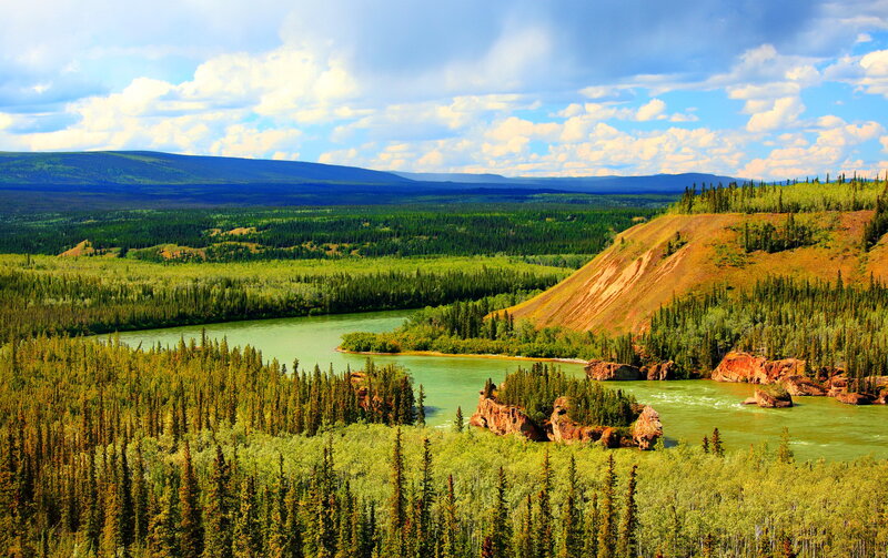 River Winding Through Forest — Green, Serene, Afternoon, Photograph, Hills, Sky