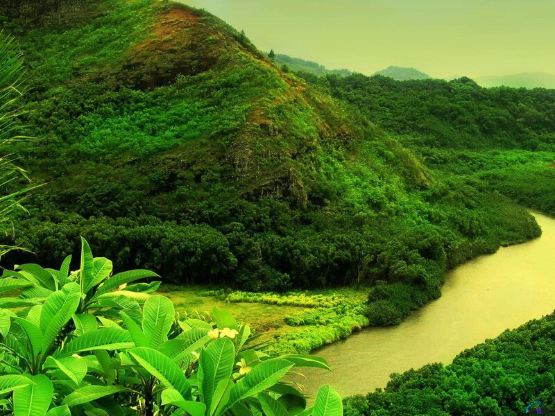 River Winding Through Forest — Green, Serene, Afternoon, Photograph, Hills