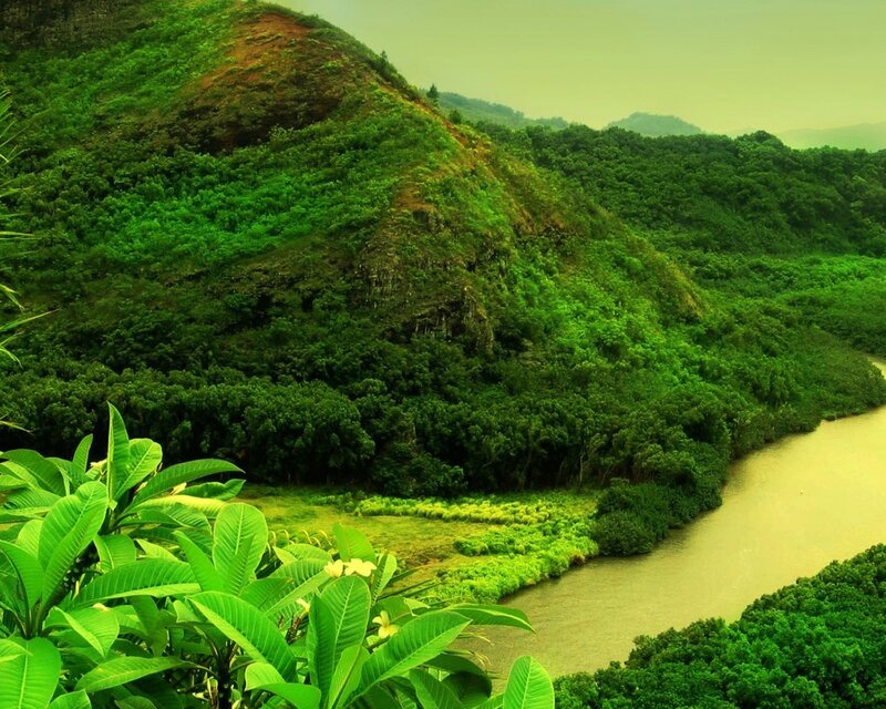 River Winding Through Forest — Green, Serene, Afternoon, Photograph, Hills, Trees