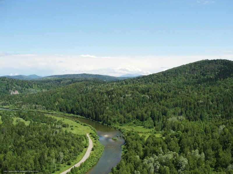 River Winding Through Forest — Green, Serene, Afternoon, Photograph, Mountains, Road