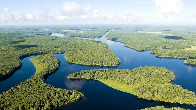 River Winding Through Forest — Green, Serene, Afternoon, Photograph, Sky, Clouds