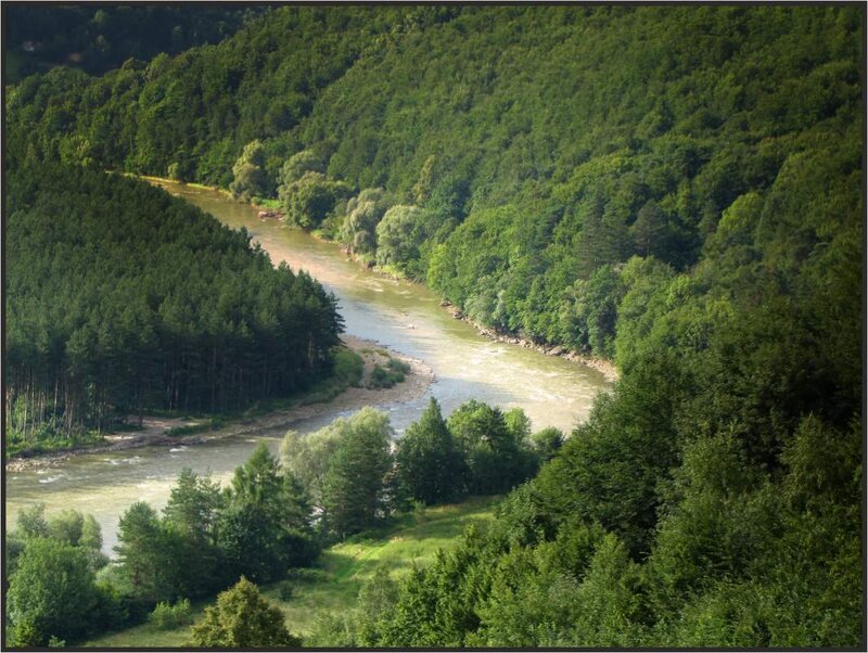 River Winding Through Forest — Green, Serene, Afternoon, Photograph, Trees