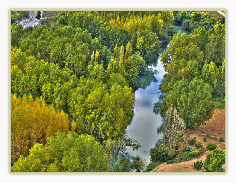 River Winding Through Forest — Green, Serene, Autumn, Photograph