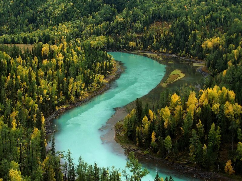 River Winding Through Forest — Green, Serene, Autumn, Photograph, Trees, Island