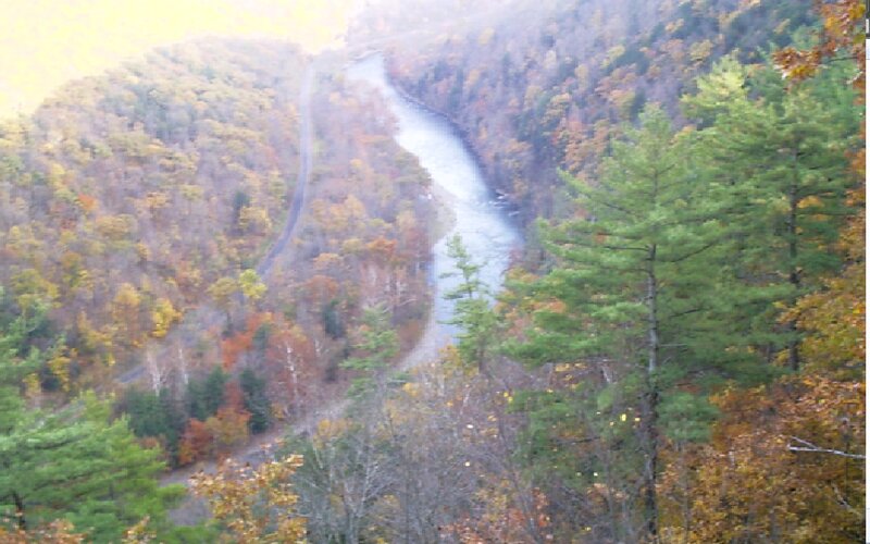 River Winding Through Forest — Green, Serene, Autumn, Photograph, Trees