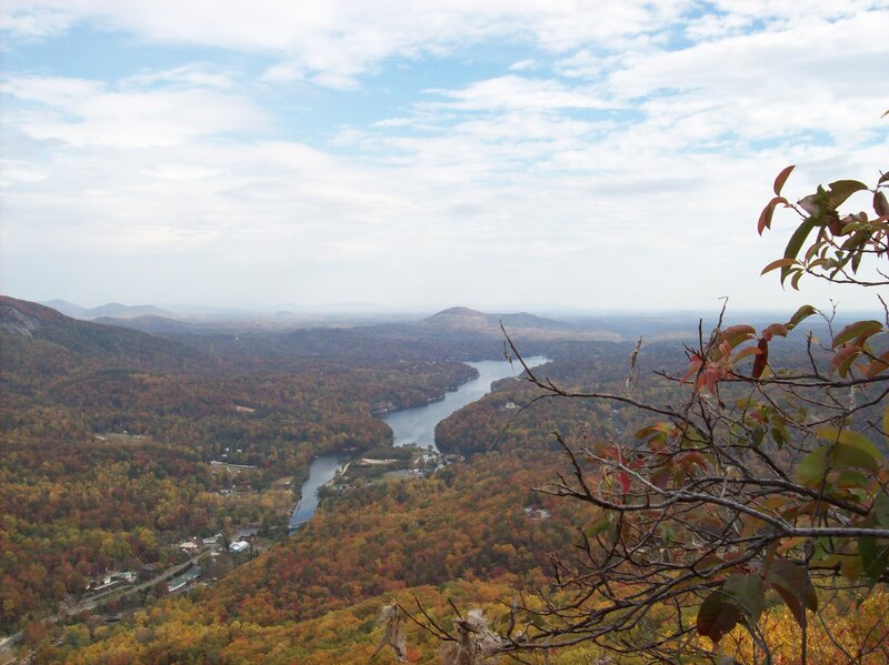 River Winding Through Forest — Green, Serene, Autumn