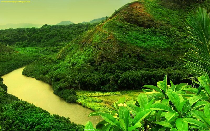 River Winding Through Forest — Green, Serene, Morning, Photograph, Hills