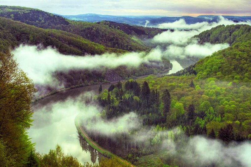 River Winding Through Forest — Green, Serene, Morning