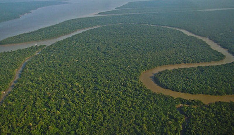 River Winding Through Forest — Green, Serene, Photograph, Aerial View
