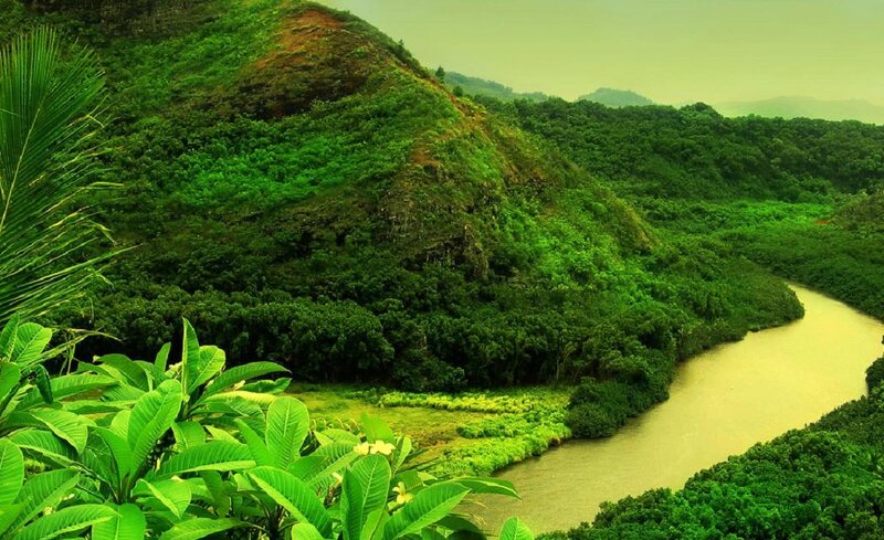 River Winding Through Forest — Green, Serene, Photograph