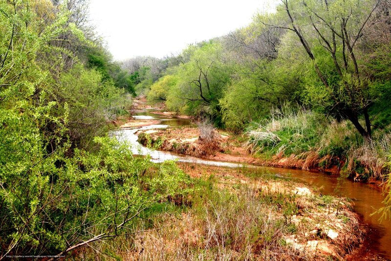 River Winding Through Forest — Green, Serene, Spring, Photograph