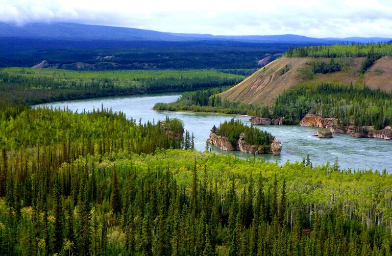 River Winding Through Forest — Green, Serene, Summer, Photograph, Mountains