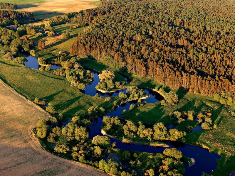 River Winding Through Forest — Green, Serene, Sunset, Photograph, Field, Trees