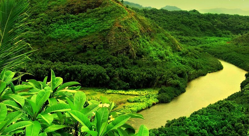 River Winding Through Forest — Green, Serene