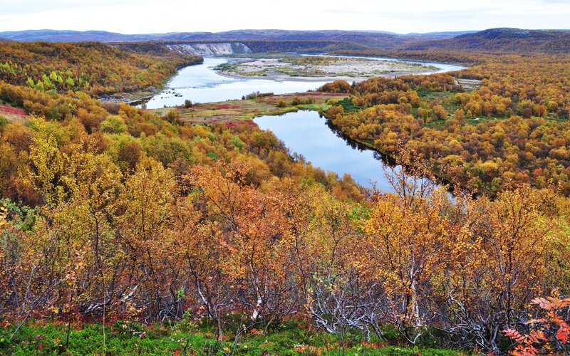 River Winding Through Forest — Orange, Serene, Autumn