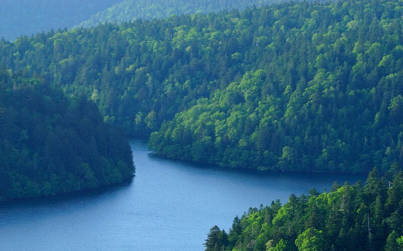 River Winding Through Forest — Serene
