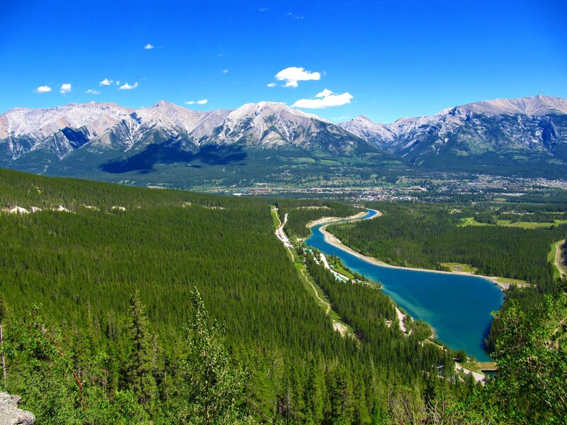 river winding through forest valley