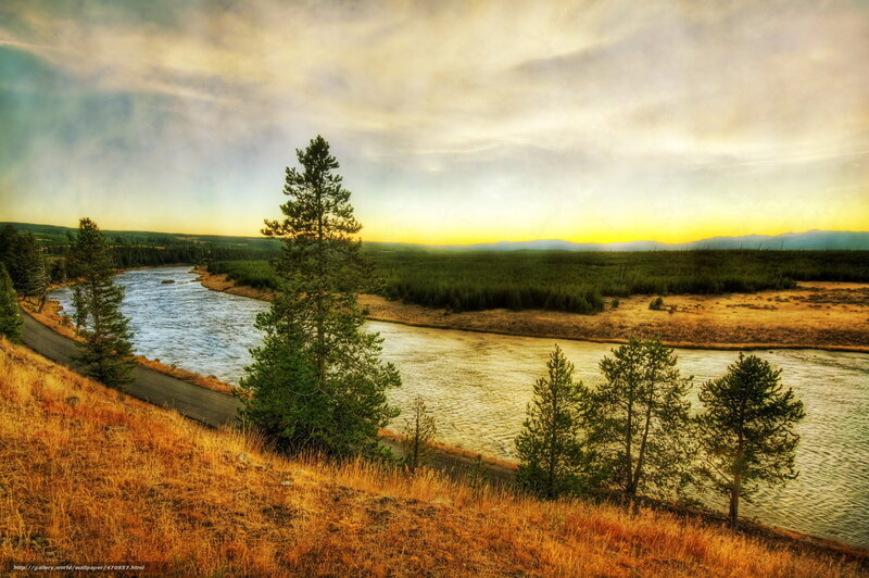River Winding Through Forest — Yellow, Serene, Sunset, Photograph