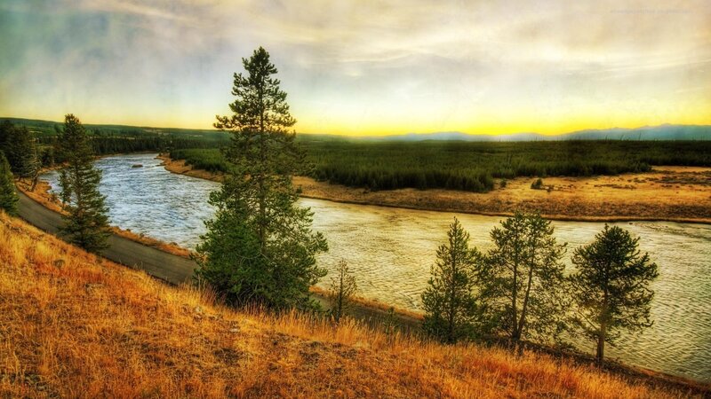 River Winding Through Forest — Yellow, Serene