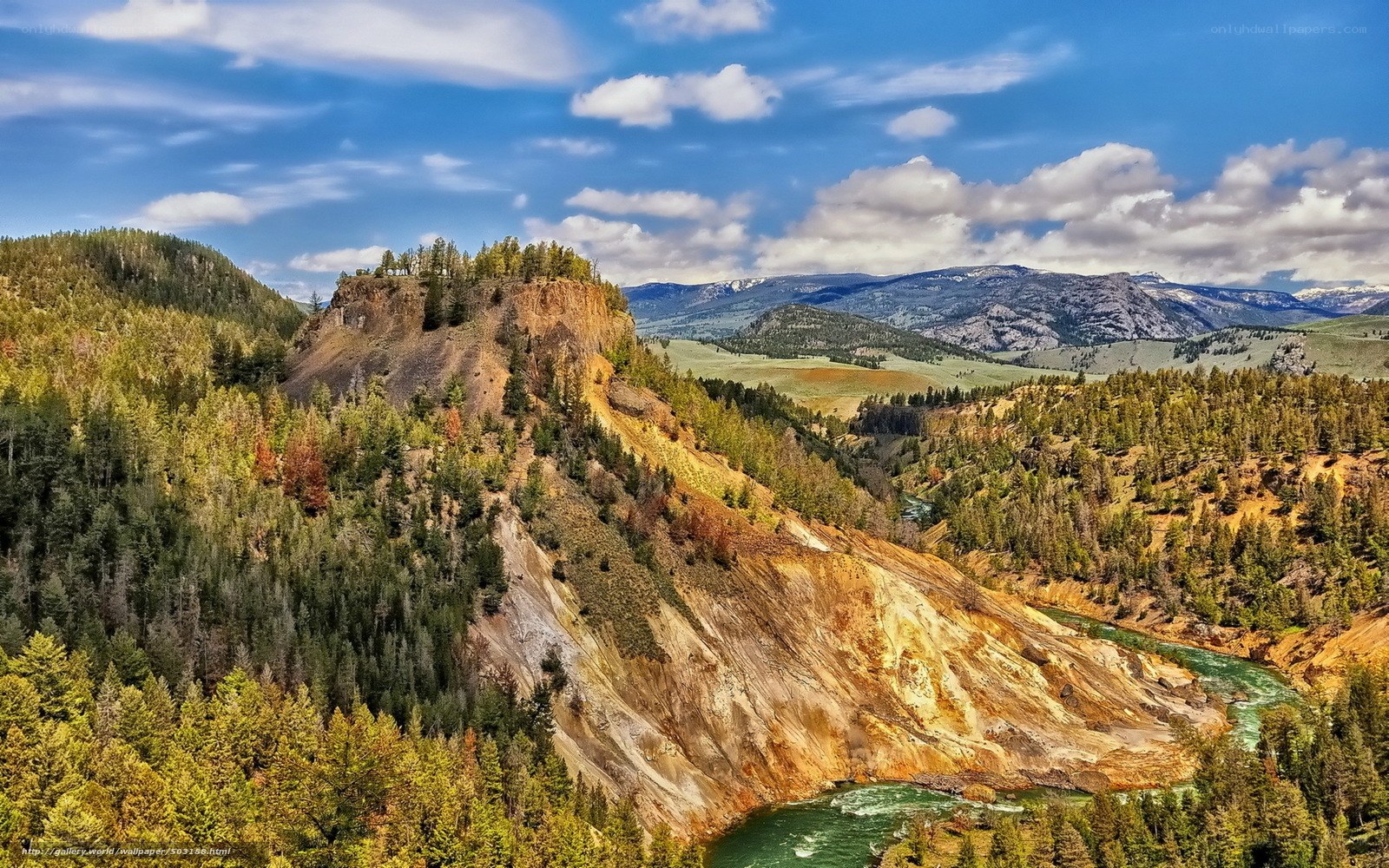 river winding through forested canyon