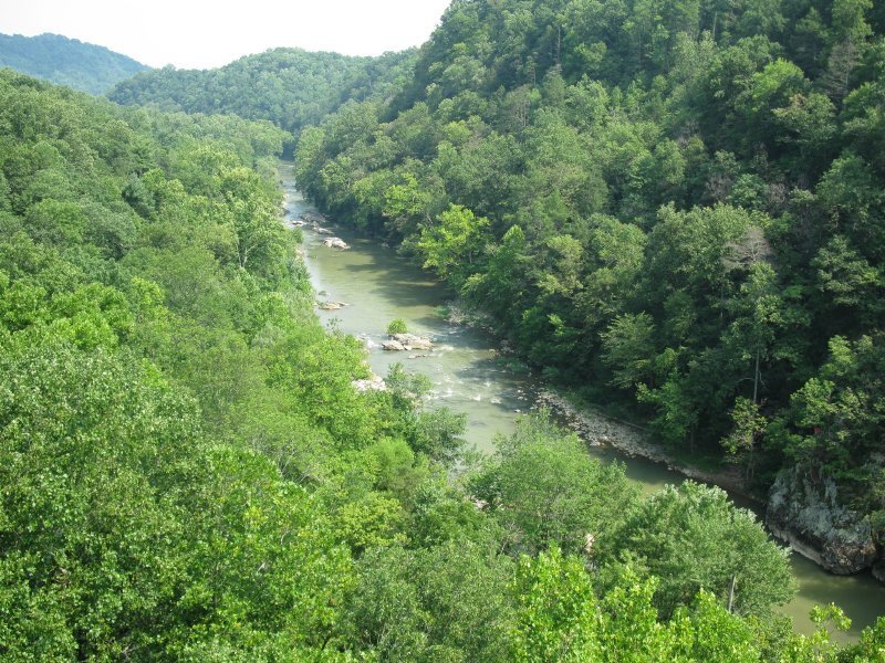 river winding through forested valley