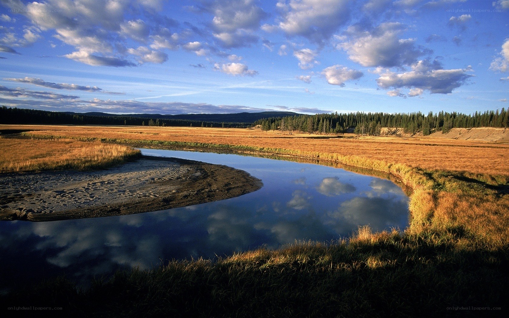 River winding through golden field