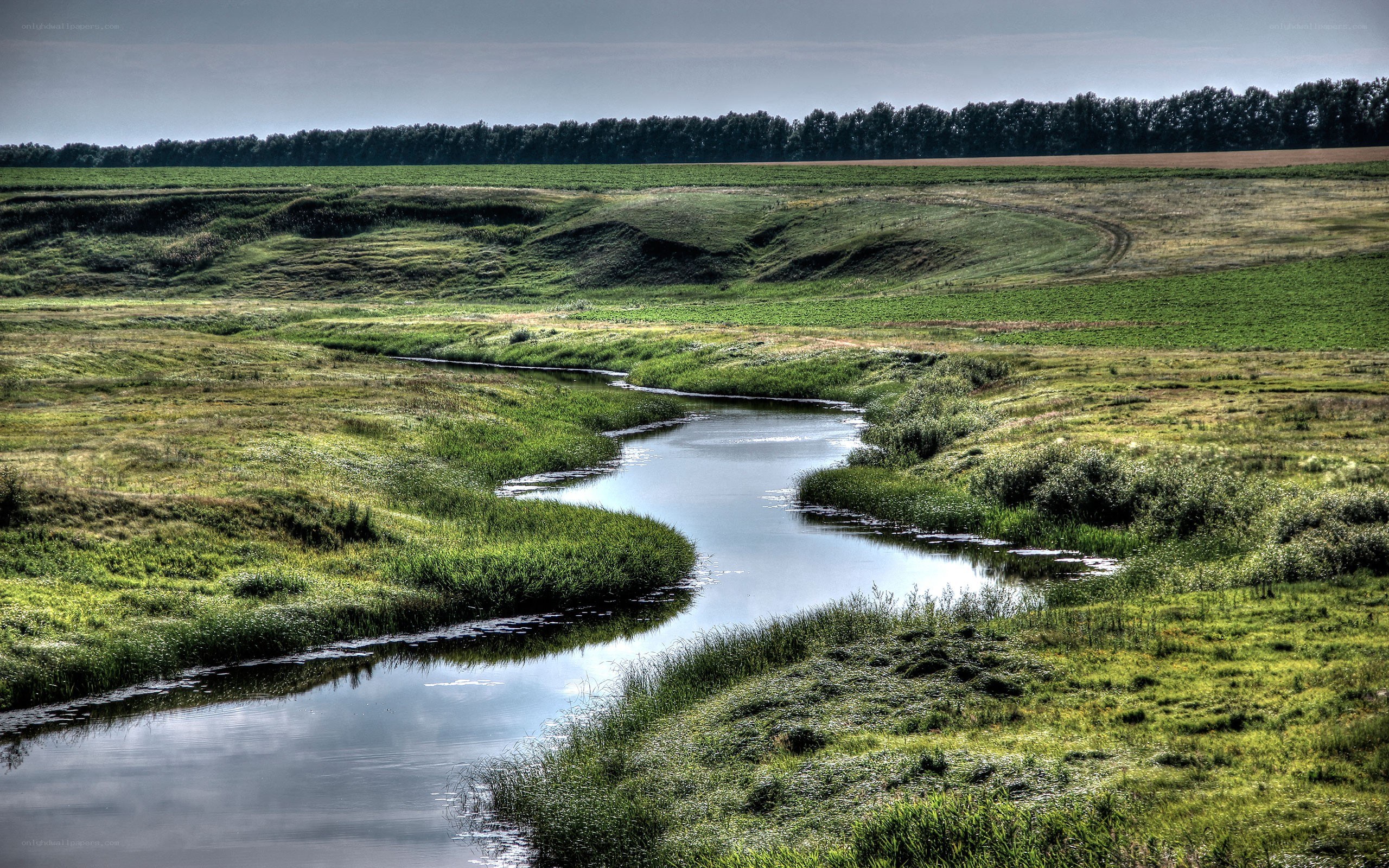 River winding through green fields