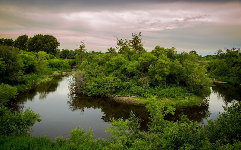 River winding through green forest