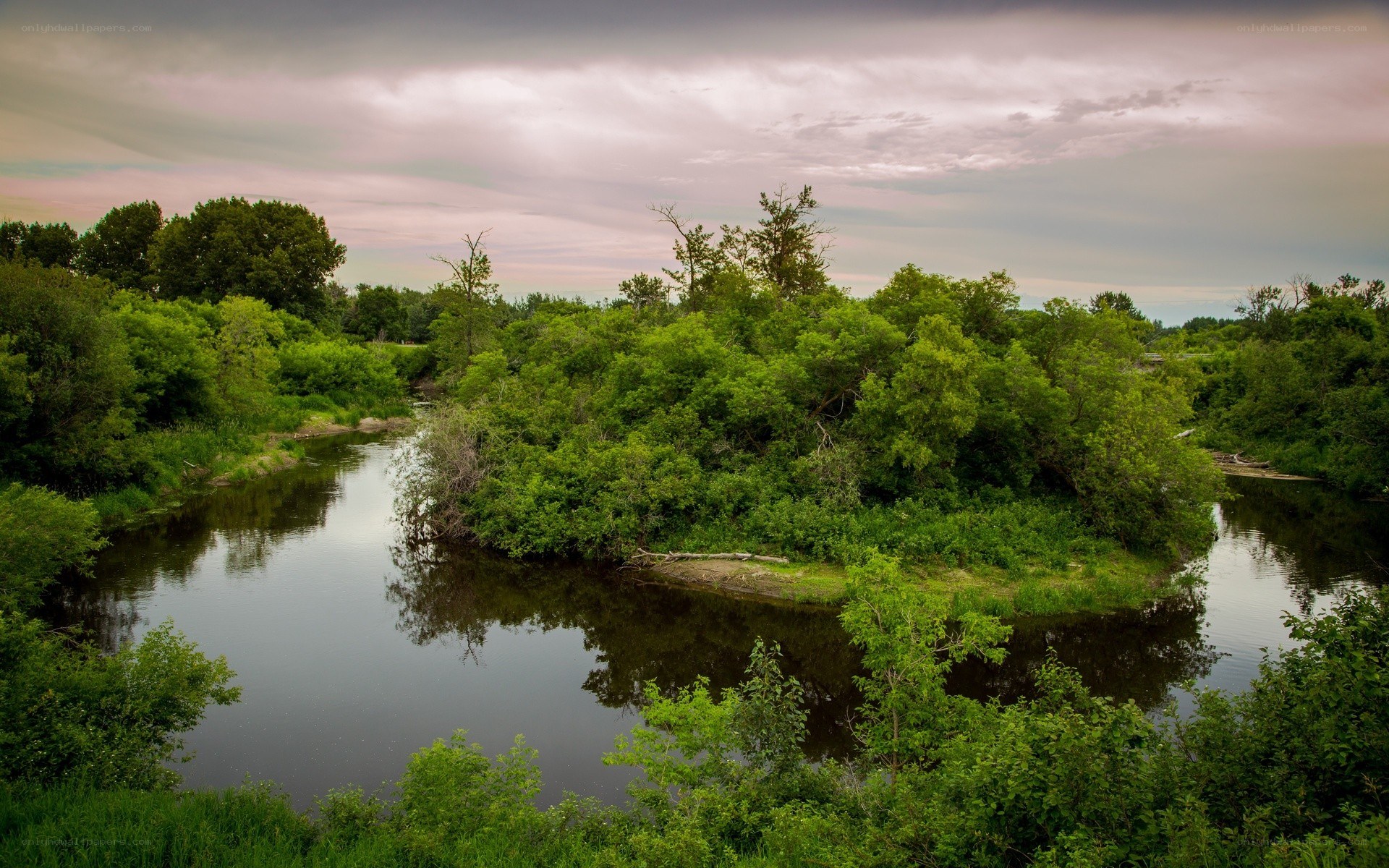 River winding through green forest